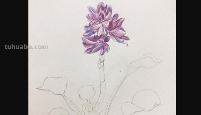 桃花用彩铅怎么画(桃花用彩铅怎么画简单而好看) 桃花用彩铅怎么画(桃花用彩铅怎么画简单而好看)