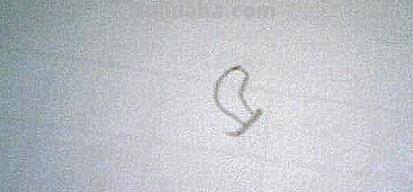 辣椒怎么画简笔画（一串辣椒怎么画简笔画）