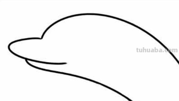 海豚怎么画简笔画（海豚怎么画简笔画图片）