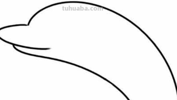 海豚怎么画简笔画(海豚怎么画简笔画图片) 海豚怎么画简笔画(海豚怎么画简笔画图片)
