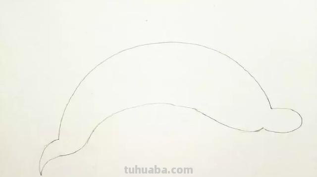 海豚怎么画简笔画(海豚怎么画简笔画图片) 海豚怎么画简笔画(海豚怎么画简笔画图片)