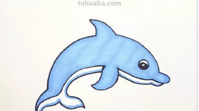 海豚怎么画简笔画(海豚怎么画简笔画图片) 海豚怎么画简笔画(海豚怎么画简笔画图片)