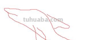 海豚怎么画简笔画(海豚怎么画简笔画图片) 海豚怎么画简笔画(海豚怎么画简笔画图片)