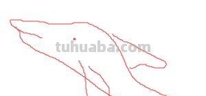 海豚怎么画简笔画(海豚怎么画简笔画图片) 海豚怎么画简笔画(海豚怎么画简笔画图片)