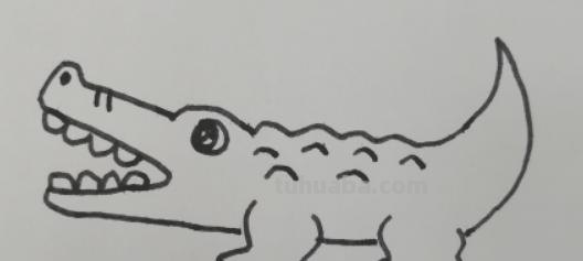 鳄鱼简笔画怎么画(鳄鱼简笔画怎么画图片) 鳄鱼简笔画怎么画(鳄鱼简笔画怎么画图片)