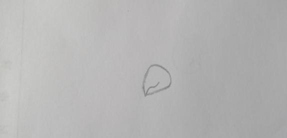 鹦鹉怎么画简笔画（鹦鹉怎么画简笔画好看又简单）