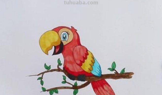 鹦鹉怎么画简笔画(鹦鹉怎么画简笔画好看又简单) 鹦鹉怎么画简笔画(鹦鹉怎么画简笔画好看又简单)