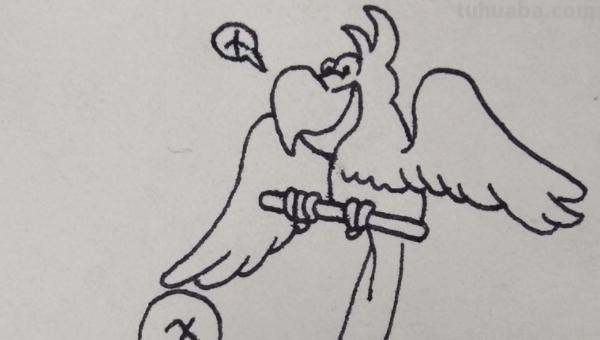 鹦鹉怎么画简笔画(鹦鹉怎么画简笔画好看又简单) 鹦鹉怎么画简笔画(鹦鹉怎么画简笔画好看又简单)