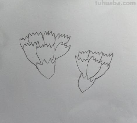 怎么用彩铅画康乃馨(怎么用彩铅画康乃馨花) 怎么用彩铅画康乃馨(怎么用彩铅画康乃馨花)