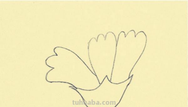 怎么用彩铅画康乃馨(怎么用彩铅画康乃馨花) 怎么用彩铅画康乃馨(怎么用彩铅画康乃馨花)