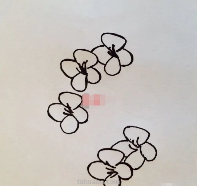 用彩铅怎么画梅花(用彩铅怎么画梅花简单) 用彩铅怎么画梅花(用彩铅怎么画梅花简单)