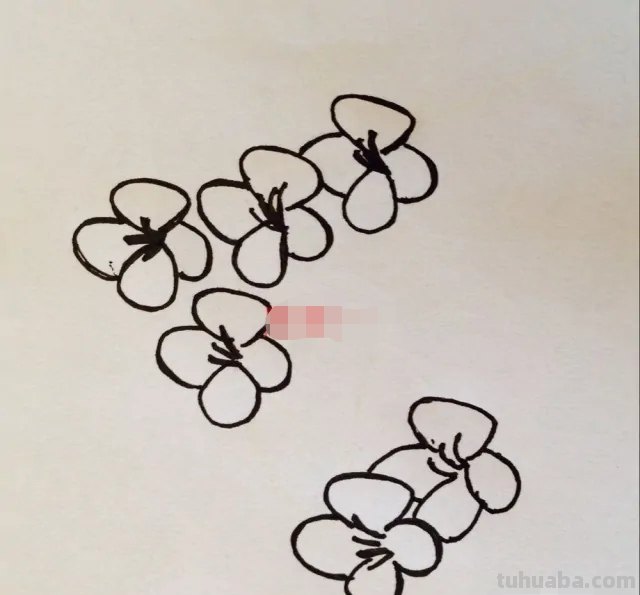 用彩铅怎么画梅花(用彩铅怎么画梅花简单) 用彩铅怎么画梅花(用彩铅怎么画梅花简单)