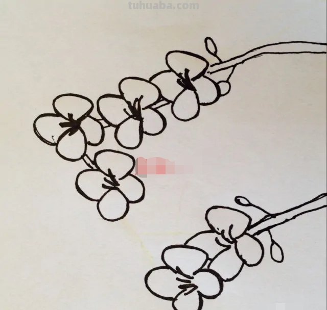用彩铅怎么画梅花(用彩铅怎么画梅花简单) 用彩铅怎么画梅花(用彩铅怎么画梅花简单)