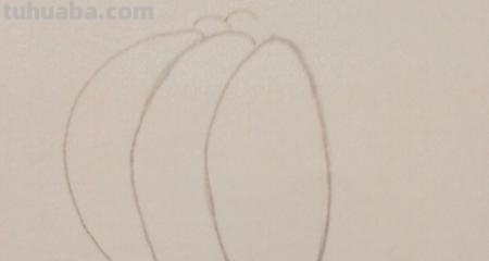 萨摩耶怎么用彩铅画(萨摩耶怎么用彩铅画的) 萨摩耶怎么用彩铅画(萨摩耶怎么用彩铅画的)