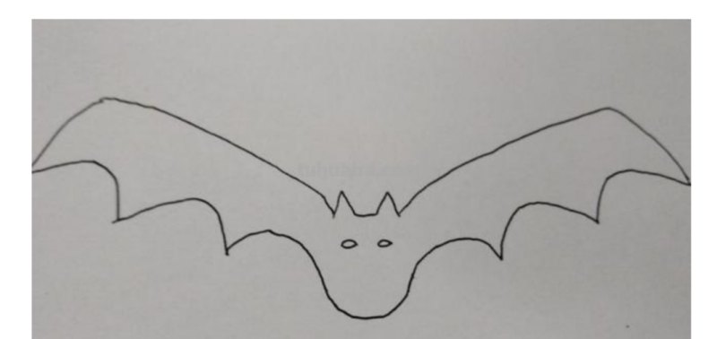 蝙蝠怎么画简笔画（蝙蝠怎么画简笔画凶恶）