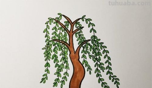 柳树简笔画怎么画(柳树,简笔画) 柳树简笔画怎么画(柳树,简笔画)
