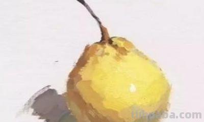 梨怎么画简笔画(梨怎么画简笔画图片) 梨怎么画简笔画(梨怎么画简笔画图片)
