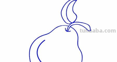 梨怎么画简笔画(梨怎么画简笔画图片) 梨怎么画简笔画(梨怎么画简笔画图片)
