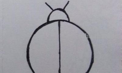 昆虫怎么画简笔画(昆虫记里面的昆虫怎么画简笔画) 昆虫怎么画简笔画(昆虫记里面的昆虫怎么画简笔画)