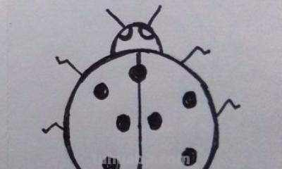 昆虫怎么画简笔画(昆虫记里面的昆虫怎么画简笔画) 昆虫怎么画简笔画(昆虫记里面的昆虫怎么画简笔画)