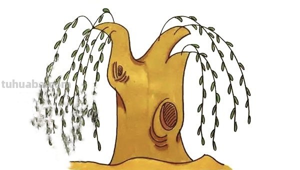 柳树怎么画简笔画(柳树怎么画简笔画图片) 柳树怎么画简笔画(柳树怎么画简笔画图片)