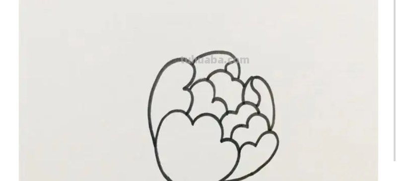 牡丹怎么画简笔画(牡丹怎么画简笔画又漂亮) 牡丹怎么画简笔画(牡丹怎么画简笔画又漂亮)