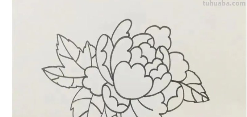 牡丹怎么画简笔画(牡丹怎么画简笔画又漂亮) 牡丹怎么画简笔画(牡丹怎么画简笔画又漂亮)