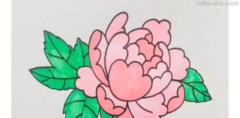 牡丹怎么画简笔画(牡丹怎么画简笔画又漂亮) 牡丹怎么画简笔画(牡丹怎么画简笔画又漂亮)