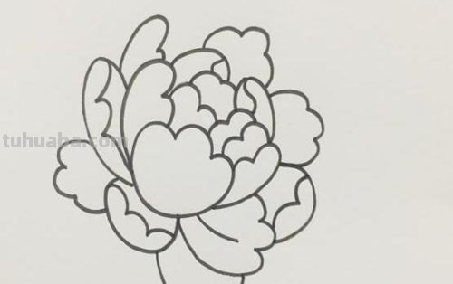 牡丹怎么画简笔画(牡丹怎么画简笔画又漂亮) 牡丹怎么画简笔画(牡丹怎么画简笔画又漂亮)