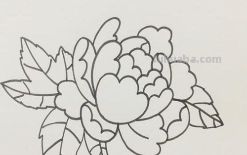 牡丹怎么画简笔画(牡丹怎么画简笔画又漂亮) 牡丹怎么画简笔画(牡丹怎么画简笔画又漂亮)