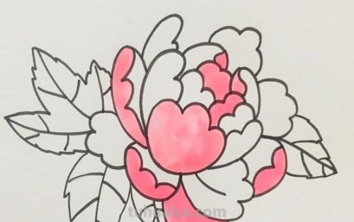 牡丹怎么画简笔画(牡丹怎么画简笔画又漂亮) 牡丹怎么画简笔画(牡丹怎么画简笔画又漂亮)