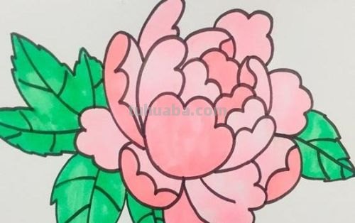 牡丹怎么画简笔画(牡丹怎么画简笔画又漂亮) 牡丹怎么画简笔画(牡丹怎么画简笔画又漂亮)