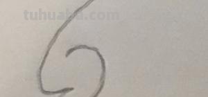 老鼠的简笔画怎么画(老鼠的简笔画怎么画最简单的) 老鼠的简笔画怎么画(老鼠的简笔画怎么画最简单的)