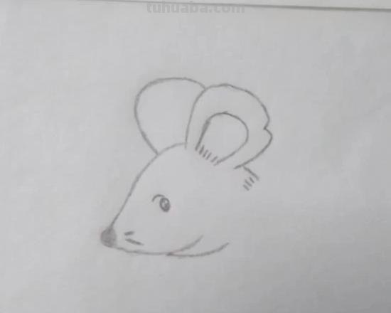 老鼠的简笔画怎么画(老鼠的简笔画怎么画最简单的) 老鼠的简笔画怎么画(老鼠的简笔画怎么画最简单的)