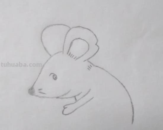 老鼠的简笔画怎么画(老鼠的简笔画怎么画最简单的) 老鼠的简笔画怎么画(老鼠的简笔画怎么画最简单的)