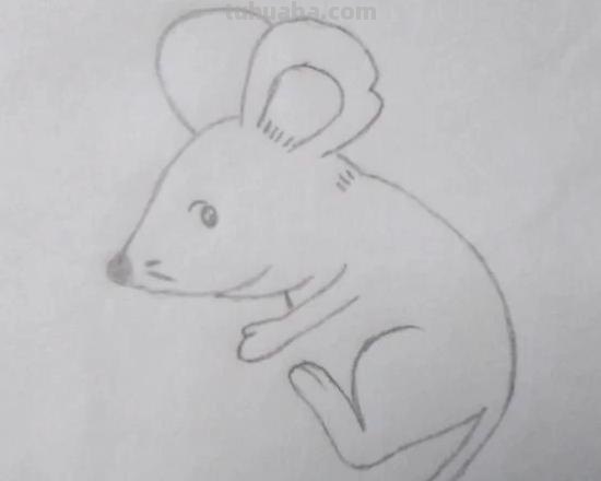 老鼠的简笔画怎么画(老鼠的简笔画怎么画最简单的) 老鼠的简笔画怎么画(老鼠的简笔画怎么画最简单的)