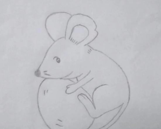 老鼠的简笔画怎么画(老鼠的简笔画怎么画最简单的) 老鼠的简笔画怎么画(老鼠的简笔画怎么画最简单的)