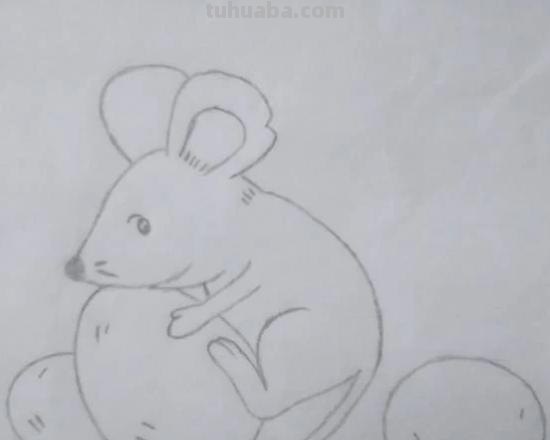 老鼠的简笔画怎么画(老鼠的简笔画怎么画最简单的) 老鼠的简笔画怎么画(老鼠的简笔画怎么画最简单的)