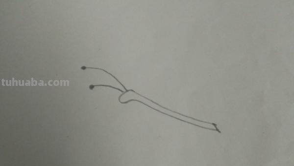 蝴蝶的简笔画怎么画(蝴蝶的简笔画怎么画最好看又简单) 蝴蝶的简笔画怎么画(蝴蝶的简笔画怎么画最好看又简单)