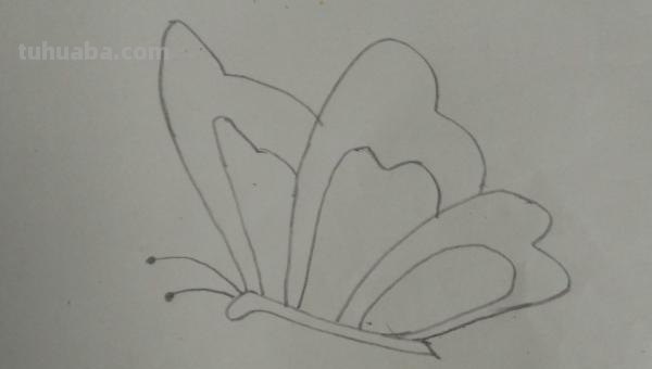 蝴蝶的简笔画怎么画(蝴蝶的简笔画怎么画最好看又简单) 蝴蝶的简笔画怎么画(蝴蝶的简笔画怎么画最好看又简单)