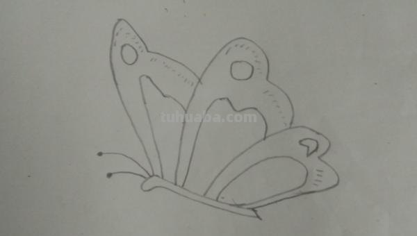 蝴蝶的简笔画怎么画(蝴蝶的简笔画怎么画最好看又简单) 蝴蝶的简笔画怎么画(蝴蝶的简笔画怎么画最好看又简单)