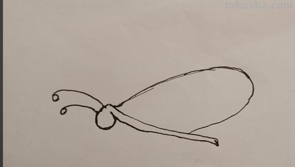 蝴蝶的简笔画怎么画(蝴蝶的简笔画怎么画最好看又简单) 蝴蝶的简笔画怎么画(蝴蝶的简笔画怎么画最好看又简单)