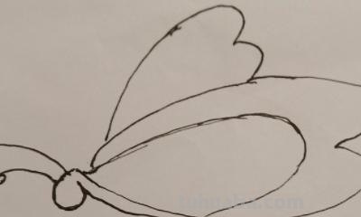 蝴蝶的简笔画怎么画(蝴蝶的简笔画怎么画最好看又简单) 蝴蝶的简笔画怎么画(蝴蝶的简笔画怎么画最好看又简单)