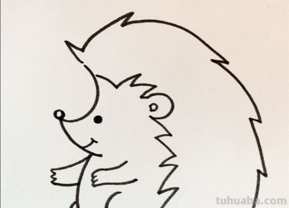 刺猬怎么画简笔画(刺猬怎么画简笔画图片) 刺猬怎么画简笔画(刺猬怎么画简笔画图片)