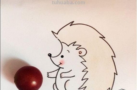 刺猬怎么画简笔画(刺猬怎么画简笔画图片) 刺猬怎么画简笔画(刺猬怎么画简笔画图片)