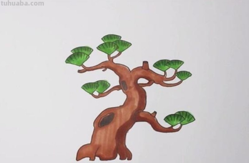 松树怎么画简笔画(松树怎么画简笔画图片) 松树怎么画简笔画(松树怎么画简笔画图片)