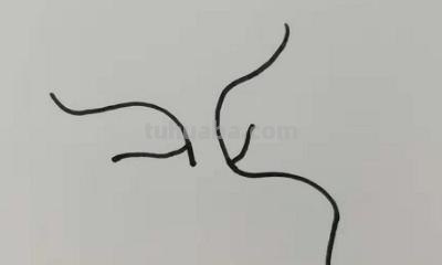 松树怎么画简笔画(松树怎么画简笔画图片) 松树怎么画简笔画(松树怎么画简笔画图片)