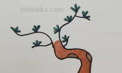 松树怎么画简笔画(松树怎么画简笔画图片) 松树怎么画简笔画(松树怎么画简笔画图片)