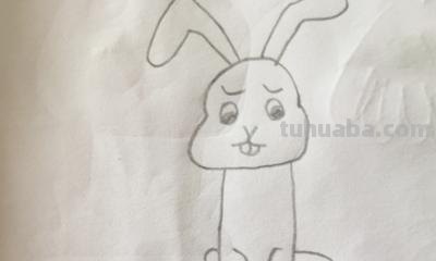 小白兔怎么画简笔画(小白兔怎么画简笔画图片) 小白兔怎么画简笔画(小白兔怎么画简笔画图片)