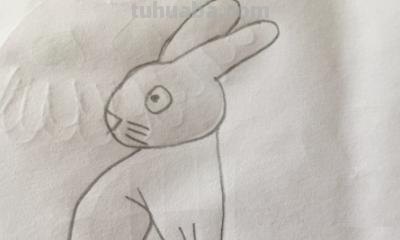 小白兔怎么画简笔画(小白兔怎么画简笔画图片) 小白兔怎么画简笔画(小白兔怎么画简笔画图片)